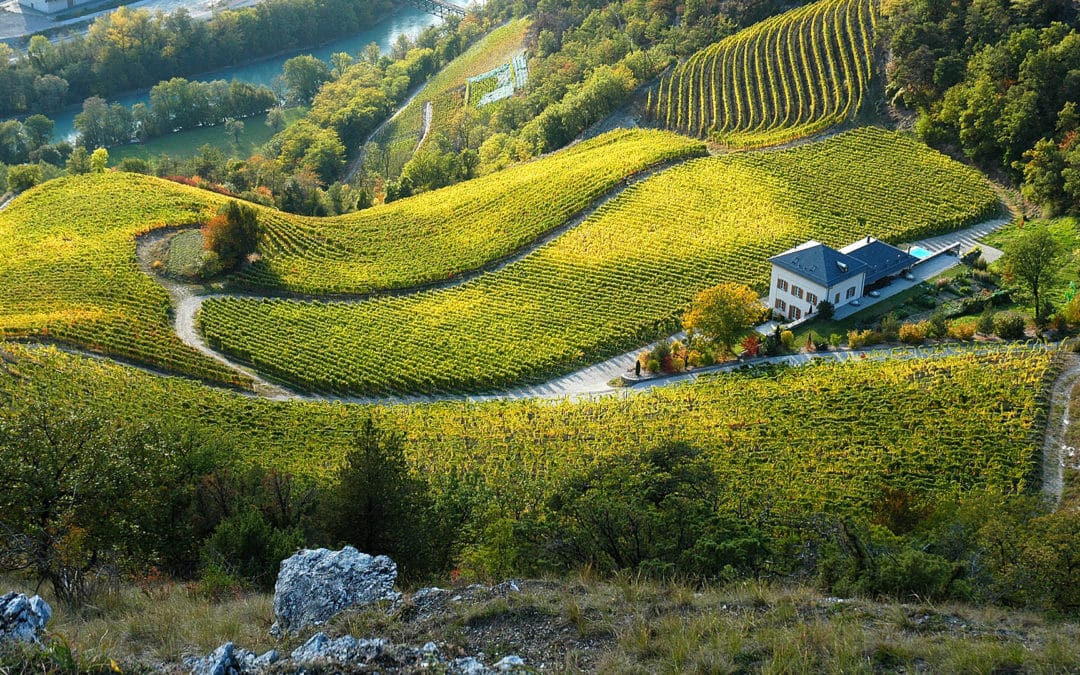 Domaine Château Lichten