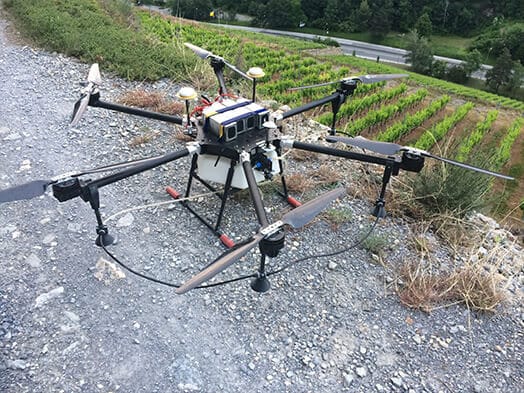 Drone viticulture
