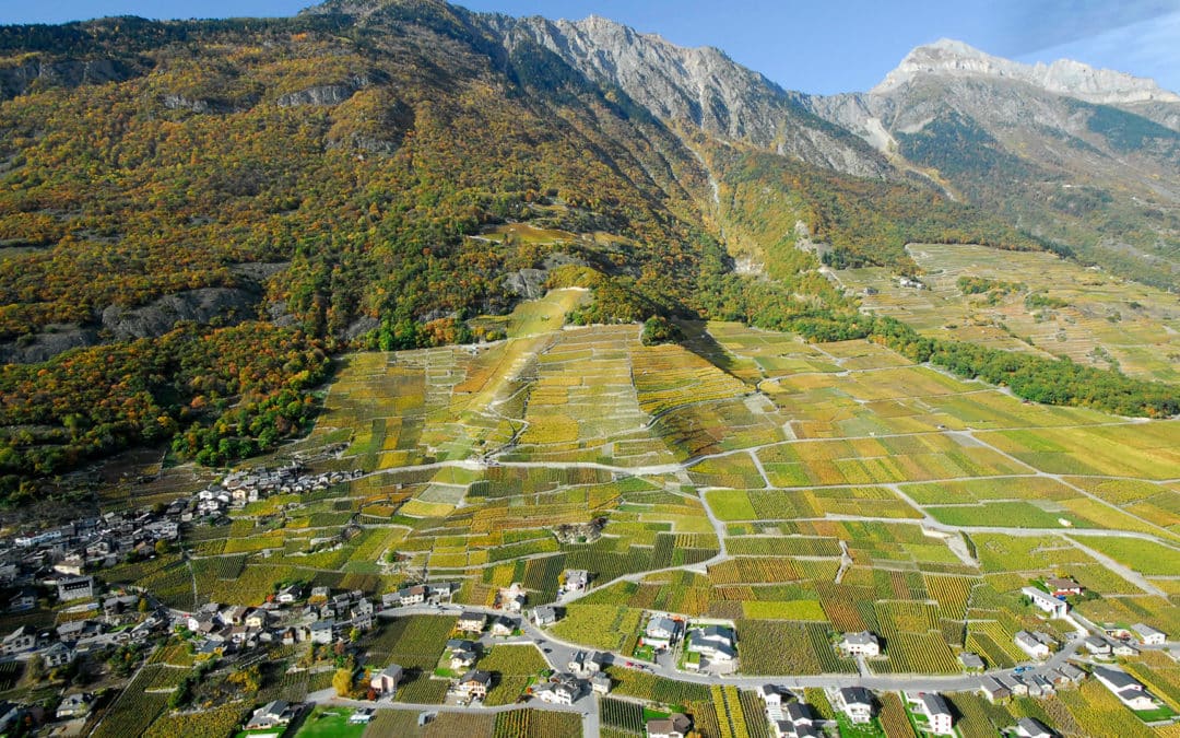 Domaine Les Seilles