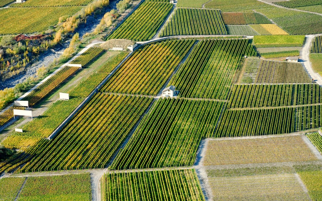 Ravanay estate