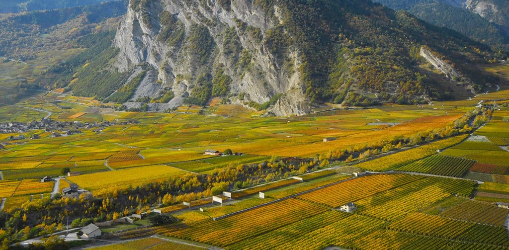 Domaines Rouvinez Valais