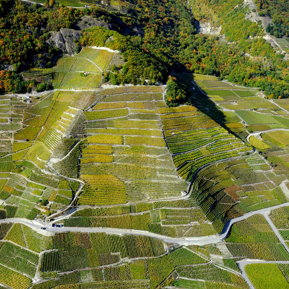 Seilles domaine viticole