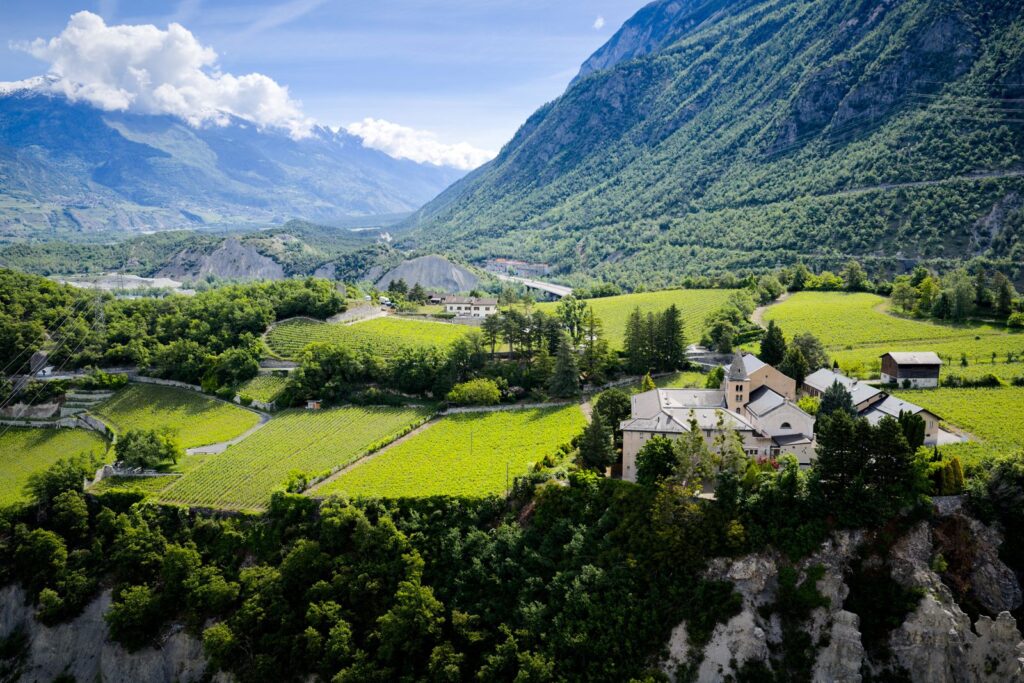 Géronde domaine Omaire